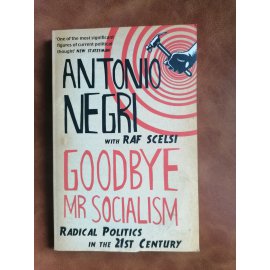 Goodbye Mr Socialism – Radical Politics in the 21st Century